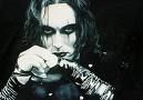 Gruppenavatar von the crow alive