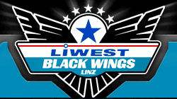 Gruppenavatar von 1. offizieller Mühlviertler Black Wings Fansclub