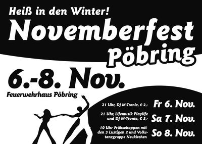 Gruppenavatar von Novemberfest Pöbring   ...heiß in den Winter!