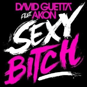 Gruppenavatar von David Guetta feat. Akon - Sexy Bitch