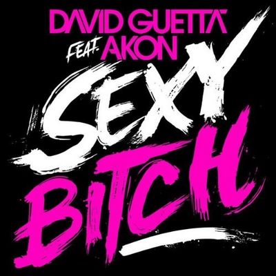 Gruppenavatar von David Guetta ft. Akon---Sexy Bitch