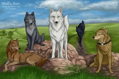 Gruppenavatar von #~*Alle di Wolf's Rain kennen und cuuuullll findn!!!*~#