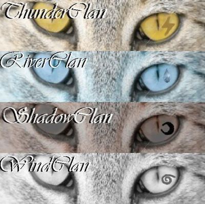 Gruppenavatar von Warrior Cats!!!(bestes Fantasybuch ever!!)