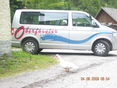 Gruppenavatar von Oberforster Transporte-Busreisen-Krankentransport