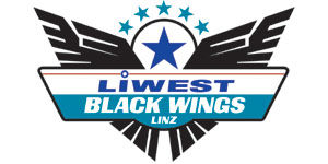 Gruppenavatar von Black Wings werden 2010 MEISTER