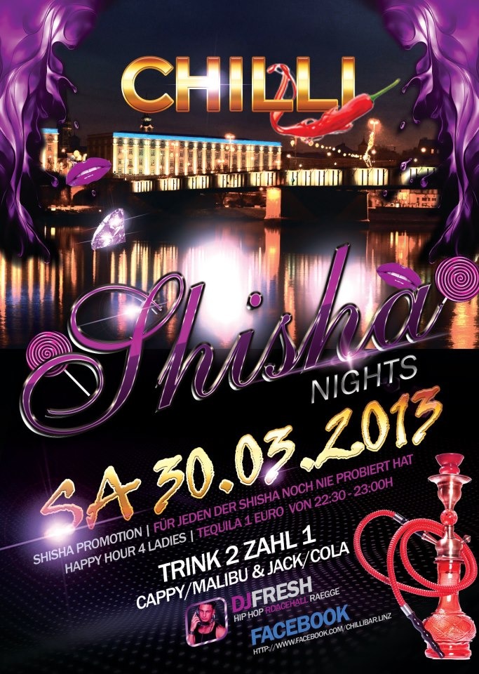 Silvester single party linz