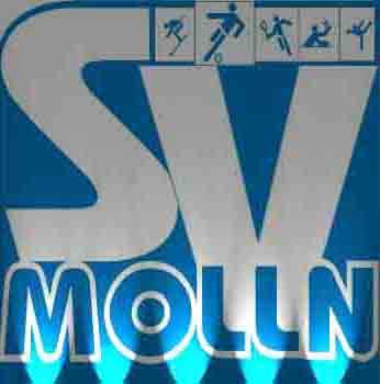 Gruppenavatar von SV Molln Starkicker