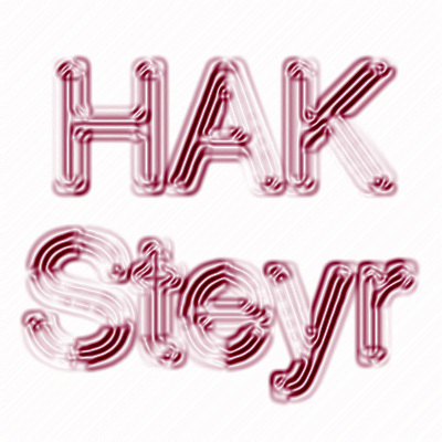 Gruppenavatar von HAK/HAS Steyr - Die Elite