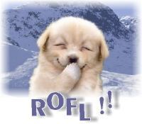 Gruppenavatar von ROFL du hast LOL gesagt!