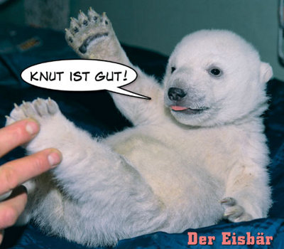 Gruppenavatar von Ich hab Knut getötet!!