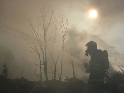 Gruppenavatar von Feuerwehr Traun