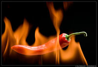 Gruppenavatar von I love it HOT and SPICY!