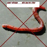 Gruppenavatar von Anti Wurm Gruppe