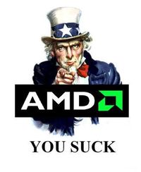 FUCK AMD, INTEL RULEZ!!