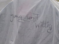 Wir sind, Jung und Willig *fg*