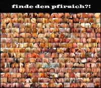 Gruppenavatar von Ich kriege von Pfirsichen nie genug!!! ;)