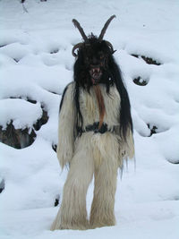 Gruppenavatar von Ich habe FÜRCHTERLICHE Angst vor Krampussen