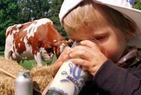 Mutti, müssen Mütter auch Gras essen, damit Milch aus den Brüsten kommt?