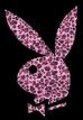 Gruppenavatar von ...pLaYbOy & HeLlO kItTy...