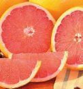 GRAPEFRUIT!....Die bessere FRUCHT...--