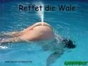 Gruppenavatar von rettet die WALE !!!!