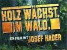 Gruppenavatar von Holz wächst im Wald