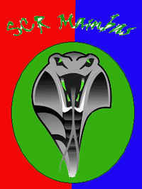 Gruppenavatar von Mambas Rapid Wien