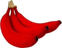 Gruppenavatar von WeNN das, was ICH als GRÜN bEtraChte, in wIRKlichKeit BLAU ist, könnTe dann niCHt eine BaNaNe in wIRKLichkEit ROT sEin ?