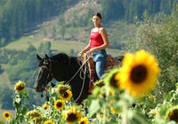 Reiten im Mühlviertel