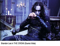 the crow forever!