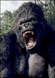 big boz gorilla!