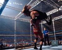 Gruppenavatar von undertaker vs. batista der kampf!