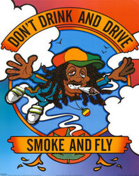 Don´t Drink and Drive-Smoke and Fly