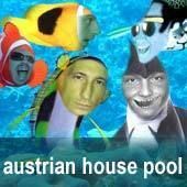 Austrian House Pool