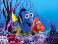 Wo ist Nemo??????