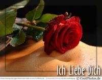 Hab die Liebe meines Lebens