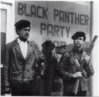 Black Panthers