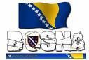 bosna is the best