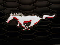 Gruppenavatar von Ford Mustang Shelby GT 67