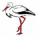 Gruppenavatar von STK STORK STK TINKT