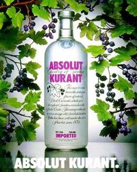 Absolut-Club