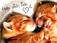 HaB DiCH liEb !