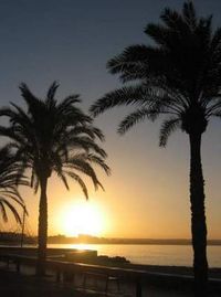 º•.¸.•°•.»MaLLoRcA..★..wir kommen«.•°•.¸.•º