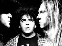 Gruppenavatar von The Melvins