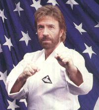 CHUCK NORRIS witzeversteher