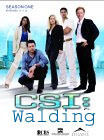 CSI Walding