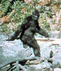 Gruppenavatar von Wusstest du...      ... dass Bigfoot ,,big foot's'' hat?