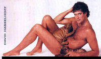 Don&#39;t Hassel The Hoff