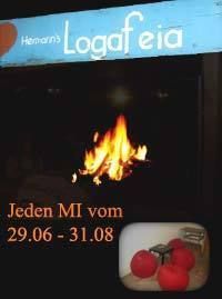 Lagerfeuer Trummer@Trummer