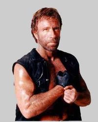 Gruppenavatar von Wenn Chuck Norris ins Wasser fällt wird er nicht nass....das Wasser wird Chuck Norris